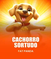 Cachorro Sortudo